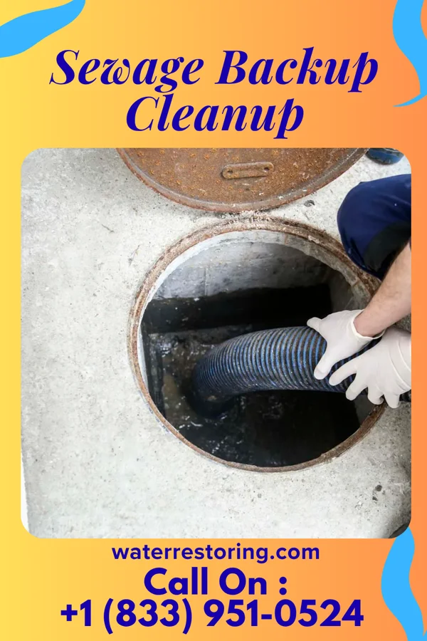 Sewage Backup Cleanup in Sherrill, NY