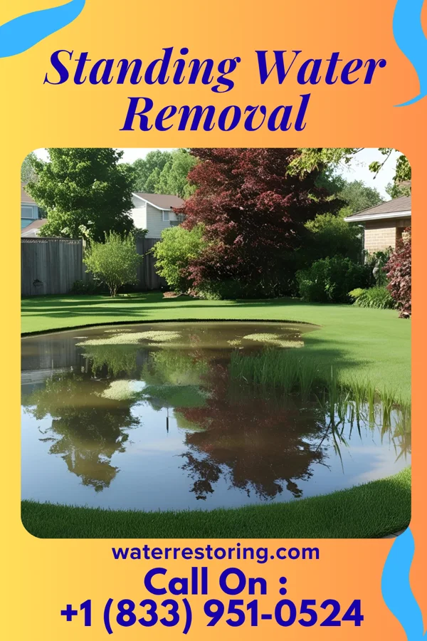 Standing Water Removal in Sherrill, NY